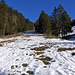 prekärer Schneeschuhtrail