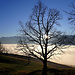 Eintauchen in den Nebel