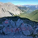 Jep, kann ich bestätigen, da hinten ist tatsächlich die Zugspitze.