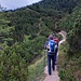 Durch die Latschen in Richtung Wörnersattel