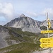 Dann schauen wir uns das doch mal an mit der Pfeiser Spitze.