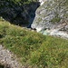 Ein Stück führt an einer Art Klamm vorbei.
