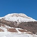Blick von Celerina zum Piz Padella und Pizzatsch