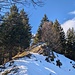 auf dem Grat geht es in Richtung Spitzli