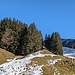 an diesem Sonnenhang hat es kaum mehr Schnee