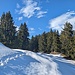 von hier aus geht es über einen Grat hinauf zum Spitzli