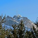 auch den Säntis sieht man vom Spitzli aus