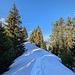kurz vor dem Gipfel hat es noch einigen Schnee auf dem Grat