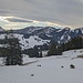 auf dem schneebedeckten Forstweg geht es hinunter zur Alp Riglen