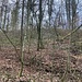 Dort oben muss sich der Gipfel befinden.