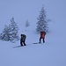 Hochwinterimpressionen