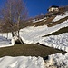 fantastisch hat sich hier die Schneemasse um den Baum herum aufgebaut ...