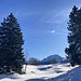 ... und nochmaligem Blick zum Wasserbergfirst zwischen Bäumen hindurch ...