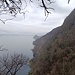 Dal Poggio Ade