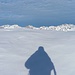 Licht und Schatten (eines Phantoms im anonymen Internet)