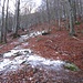 Intorno ai 1000 m di quota, sempre nei boschi, incominciamo a trovare la prima neve.