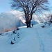 Ormai siamo arrivati ai prati dell’Alpe Prà, i cui edifici troveremo subito dopo il grande faggio isolato.