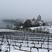 Le château de Spiez et ses vignes