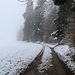 Un paysage froid et morne