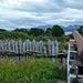Fuerte Bulnes