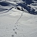 Auf gleichem Weg zurück