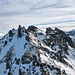Wildseehörner