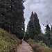 nel Parco San Grato