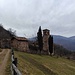 Torello