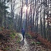 Im Krambergwald.