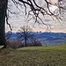 Die Bank bei der alten Eiche.