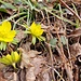 Frühling?