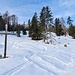 <b>Poco prima dei 1800 m di quota arrivo ad un bivio dove è stata eretta una croce con la scritta “Crousch da Leata”.</b>
