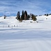 <b>Sono costretto a battere la traccia nella neve vergine.</b>
