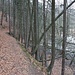 Talweg in der Tallage der Pšovka (Wrutitzbach)