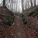 Felsengasse aktuell