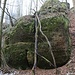 Wieder hinunter: Felsiger Talhang