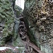 Kammweg