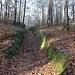 Felsenweg