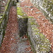 Trincea della Linea Cadorna.