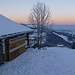 Klirrend klare Sicht vom Görsteggli: nach W zur Chrüzflue, zu der es heute wegen der Kälte leider nicht reichen wird und zum Waadtländer Jura...(Foto vom 12.1.2025)