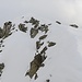 Am oberen Ende einer Kletterpassage (II, Griffe befreite ich von Schnee) mache ich ein Foto Richtung Gipfel. Wenige Meter ist der Gipfelgrat schmal und sehr ausgesetzt (Schneegrat rechts).