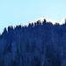 die Sonne brennt