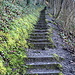 auf dem zweiten Abschnitt die erste Treppe abwärts (Blick zurück)