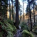 Durch dieses Schutzgebiet führt ein wunderbarer, allerdings auch frequentierter Wanderweg.