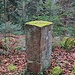 Ein alter Grenzstein.