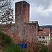 ...Burg Liebenzell.