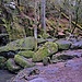 Wasserkaskaden in der Schlucht