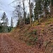 Auf dem oberen Ast des Walzenwegs. Hier auf die Fortsetzung des Pfads (rechte Bildhälfte). 