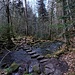 ...die sich der Monbach seit rund 350.000 Jahren in den Buntsandstein fräst. Trittsteine helfen an mehreren Stellen...