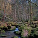 Das Schutzgebiet umfasst die wildromantische Waldschlucht...